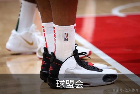 球盟会概况